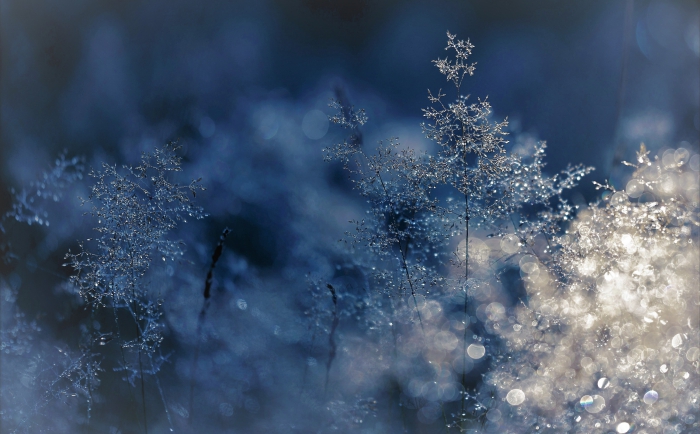 Ostrzeżenie meteorologiczne o przymrozkach