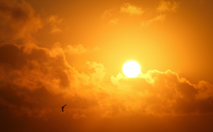 Ostrzeżenie meteorologiczne - Upały