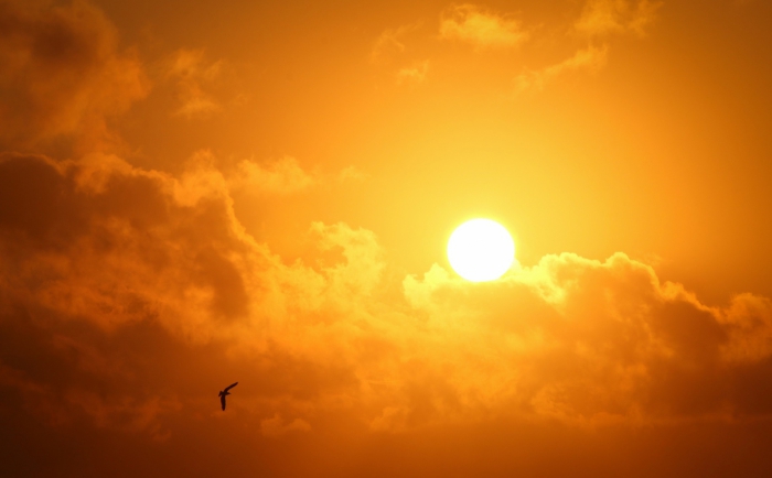 Ostrzeżenie meteorologiczne - Upały