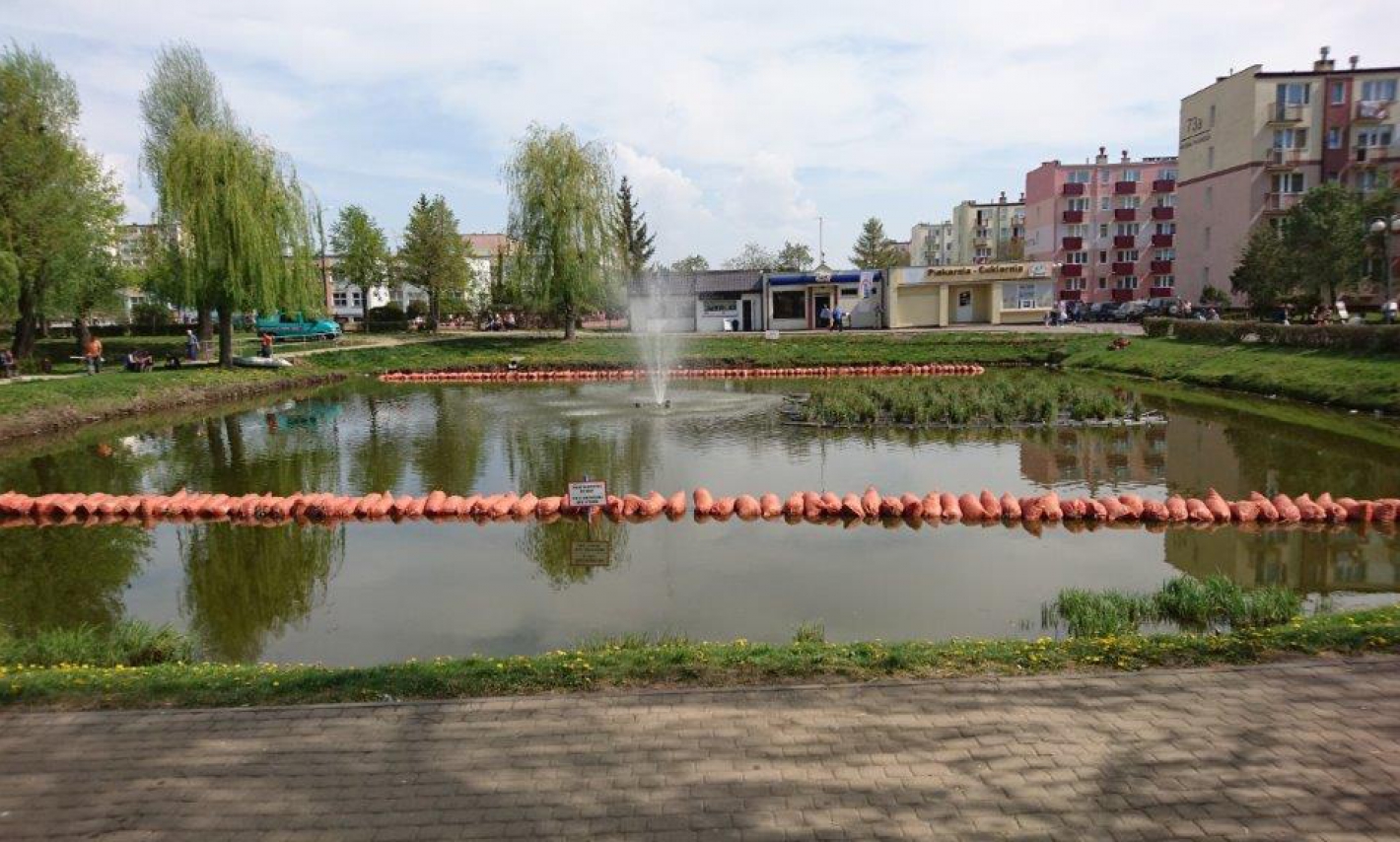 W kwietniu rozpoczęto kontynuację zabiegów rekultywacyjnych, których celem jest poprawa stanu wody w zbiorniku. Każdego roku dokonuje się wymiany wieńców ze słomy jęczmiennej, zapobiegających zakwitom sinicowym. W maju planuje się uzupełnienie nową roślinnością wodną istniejącej wyspy makrofitowej, zniszczonej w głównej mierze przez przebywające na zbiorniku łabędzie i kaczki. Trwałość wyspy ma zapewnić odpowiedni dobór gatunków roślin (mniej atrakcyjnych dla ptactwa), a także zamontowane zabezpieczenie z s